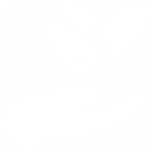 hand-holding-leaves